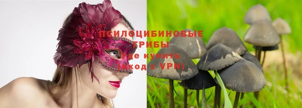 spice Абаза