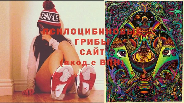 метадон Гусев