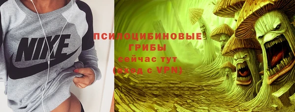 МДМА Алексеевка