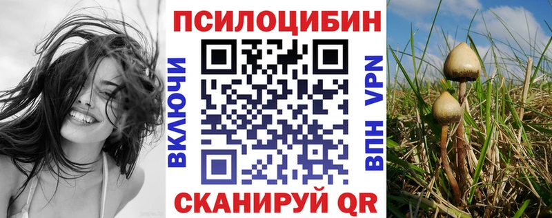 Псилоцибиновые грибы Psilocybine cubensis  где продают наркотики  Инсар 